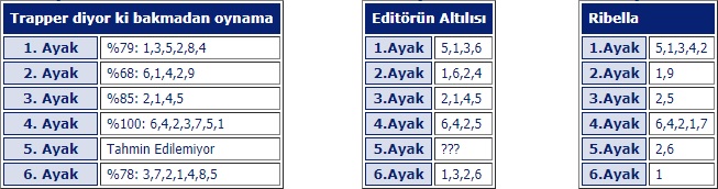 2 Şubat 2019 Cumartesi Adana at yarışı tahminleri