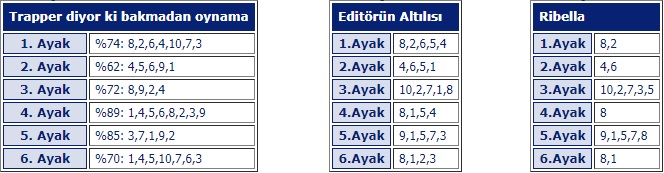 13 Kasım 2018 Salı Diyarbakır At Yarışı Tahminleri