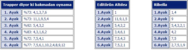26 Ocak 2019 Cumartesi Adana at yarışı tahminleri